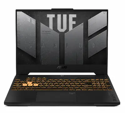 Asus TUF GAMING FX707VJ-HX027, серая