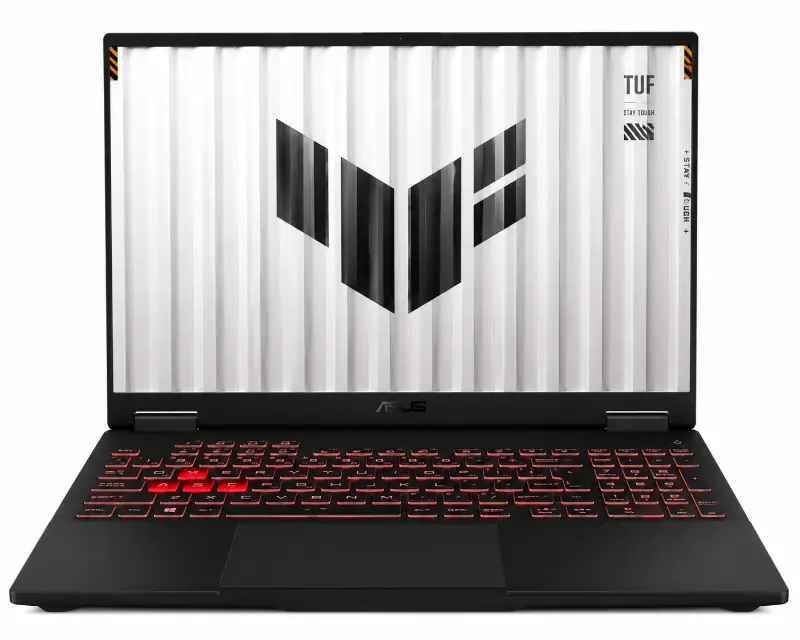 Asus Tuf Gaming FA608UP-R7165, серая