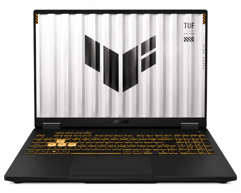 Asus Tuf Gaming F16 FX608J, серая
