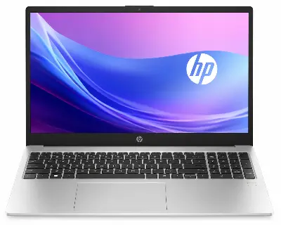 HP 255 G10, серебристая